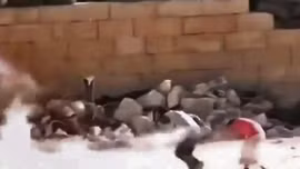 Cậu bé Syria giả trúng đạn để cứu bé gái