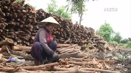 Xóm mót củi trong thành phố