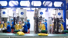Giá gạo Việt Nam tăng cao nhất hai năm