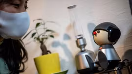 Robot 'thú cưng' giúp người Nhật Bản bớt cô đơn trong dịch COVID-19