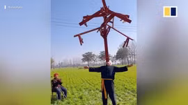 Video người đàn ông 65 tuổi biểu diễn xiếc siêu đỉnh gây 'sốt' ở Trung Quốc