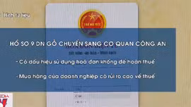 9 doanh nghiệp gỗ nghi sử dụng hóa đơn khống