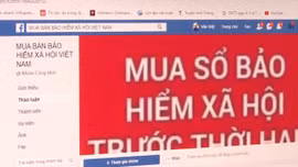Cảnh báo tình trạng thu mua sổ bảo hiểm