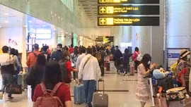 Đà Nẵng tạm dừng tour đi và đến các vùng có dịch
