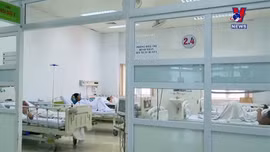 Cảnh báo người dân bị ngộ độc do ăn nấm tại Đắk Lắk