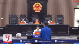 Làm rõ sai phạm định giá đất của Cienco 1