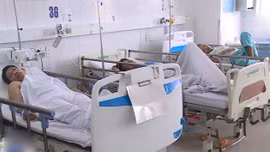 Xác định nguyên nhân vụ 230 người tại Đà Nẵng ngộ độc
