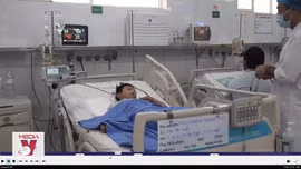 Hai mẹ con nhập viện nghi do ngộ độc nấm mọc trên xác nhộng ve sầu