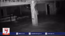 Thủy điện xả lũ kiểu 'sống chết mặc bay'