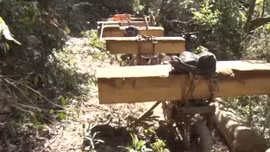 Kon Tum bắt quả tang 11 đối tượng khai thác gỗ trái phép