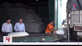 Giá gạo tăng cao nhất trong gần 2 năm qua