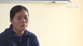 Tạm đình chỉ công tác cô giáo cho cả lớp tát học sinh tại Quảng Bình
