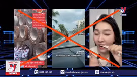 TikTok có nên bị cấm tại Việt Nam?