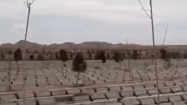 Dịch COVID-19 khiến nghĩa trang tại Iran quá tải