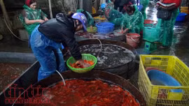 Sôi động thị trường cá chép ông Công ông Táo