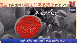 Máu nhân tạo có thể truyền cho mọi nhóm máu