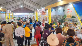439 Doanh nghiệp với gần 1.200 sản phẩm tham gia Tuần lễ sản phẩm OCOP và sản phẩm đặc trưng các vùng, miền năm 2023 tại TP Hồ Chí Minh.