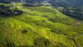 Vẻ đẹp ruộng bậc thang Miền Đồi ở Hòa Bình
