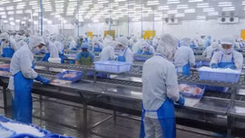Các giải pháp ứng phó khi căng thẳng thương mại toàn cầu leo thang