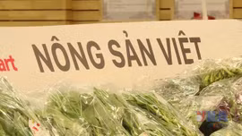 Để hàng Việt trụ vững trên 'sân nhà'