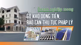 Tin tức TV: Doanh nghiệp mong gỡ khó dòng tiền, rào cản thủ tục pháp lý 