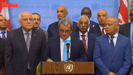 Thổ Nhĩ Kỳ và Palestine kêu gọi dừng chuyển giao vũ khí cho Israel