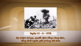 Khoảnh khắc & sự kiện ngày 31/3 