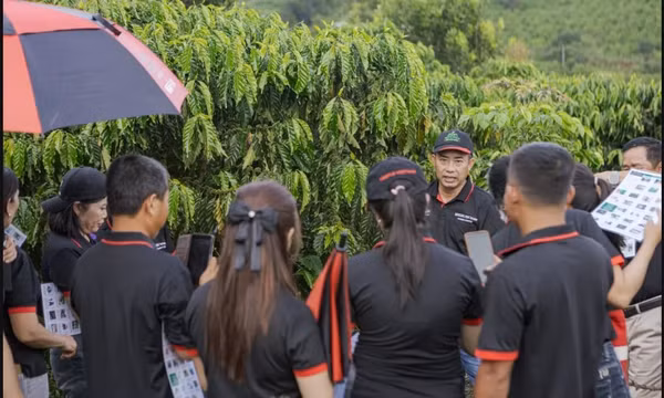 Hành trình đưa an toàn lao động về với các nông trại cà phê