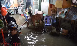 Thành phố Hồ Chí Minh
