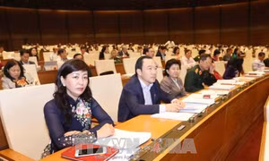Đại biểu Quốc hội nghi ngờ có sự tiếp tay cho nạn phá rừng