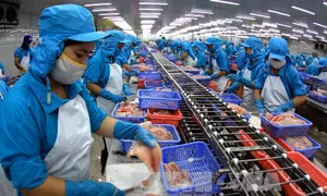 Việt Nam là một trong những nền kinh tế năng động nhất của ASEAN