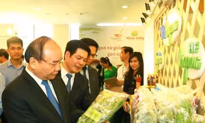 Thủ tướng đưa ra phương châm '5 nhà' để phát triển nông nghiệp