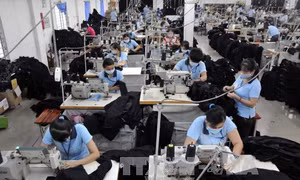 TP Hồ Chí Minh với mục tiêu 500.000 doanh nghiệp - Bài 2: Khuyến khích chuyển đổi