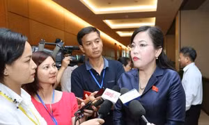 Điều chuyển công tác Cục trưởng Cục Nghệ thuật biểu diễn là hợp ý nguyện cử tri