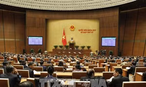 Quốc hội thông qua cơ chế, chính sách đặc thù phát triển thành phố Hồ Chí Minh