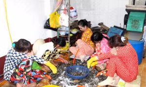 Sẽ xử lý dứt điểm hành vi bơm tạp chất vào tôm trong năm 2018 