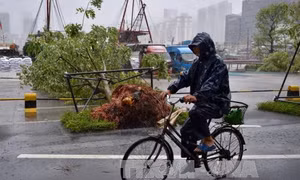 Bão Hato đổ bộ miền Nam Trung Quốc, 3 người thiệt mạng 