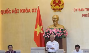 UBTV Quốc hội cho ý kiến về dự án Luật sửa đổi, bổ sung một số điều của Luật Lý lịch tư pháp