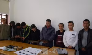 Phá đường dây đánh bạc và cho vay nặng lãi quy mô lớn