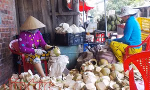 TP Hồ Chí Minh