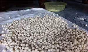 Hàng tấn nguyên liệu trân châu, chuối sấy mốc định tuồn vào quán chè