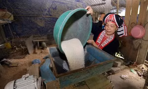 Đảng viên nữ giỏi việc nước, đảm việc nhà 