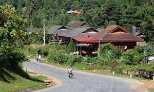 Khởi sắc Nà Nhạn - vùng cửa ngõ lòng chảo Mường Thanh