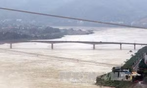 Bộ Công Thương chủ động đối phó với bão Hato 