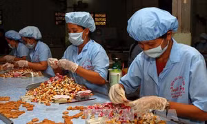 Bến Tre ưu tiên phát triển đặc sản cơm dừa nạo sấy, sữa dừa