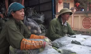 Nhiều hệ thống phân phối đồng hành cùng nông dân tiêu thụ nông sản