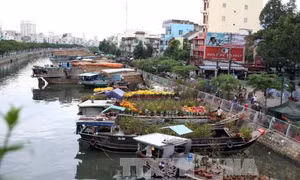 Người khởi phát phong trào thả cá phóng sinh trên kênh Tàu Hủ