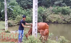 Nhận diện hộ nghèo để có giải pháp căn cơ thoát nghèo