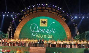 Đêm hội vào mùa: Gỡ khó cho nông dân trồng cà phê