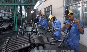 Thủ tướng chỉ thị đẩy mạnh hỗ trợ và phát triển doanh nghiệp